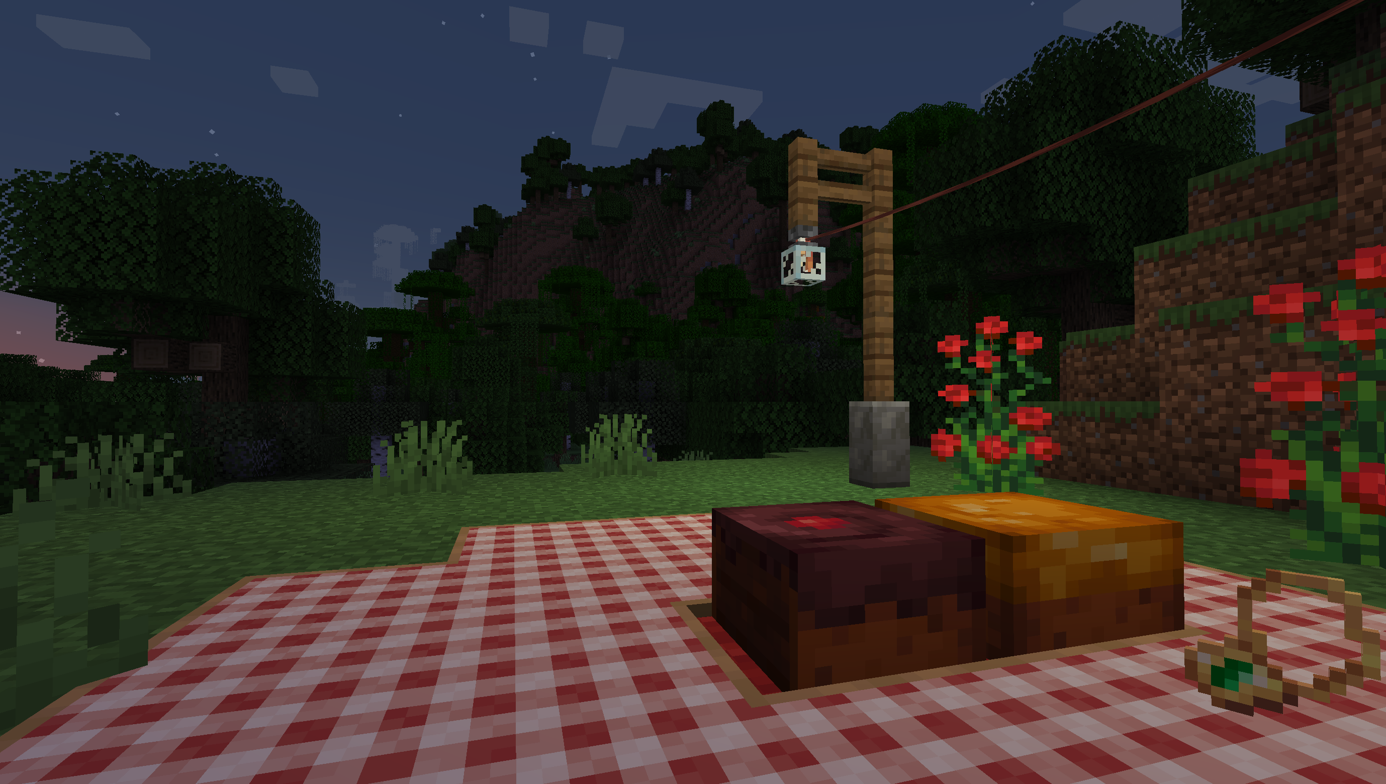 A picnic in a Forest